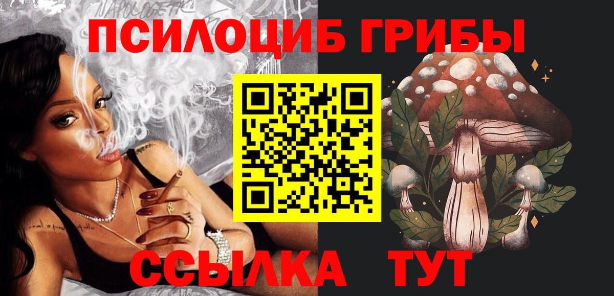 где найти   Псилоцибиновые грибы мицелий  Вход с VPN  Нижний Новгород 